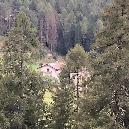 B&B Le Stagioni Di Stava Tesero Zewnętrze zdjęcie