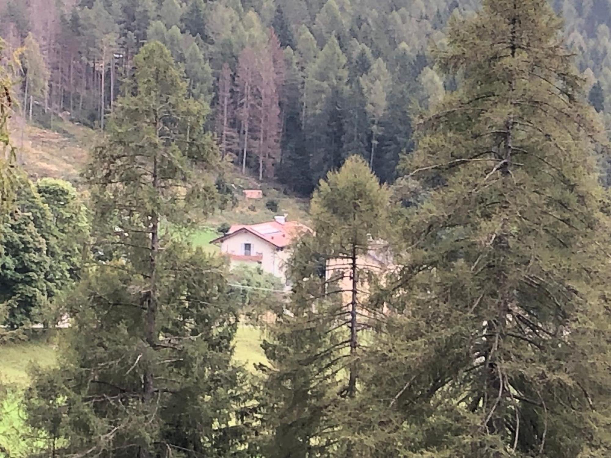 B&B Le Stagioni Di Stava Tesero Zewnętrze zdjęcie